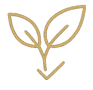 Eco Icon